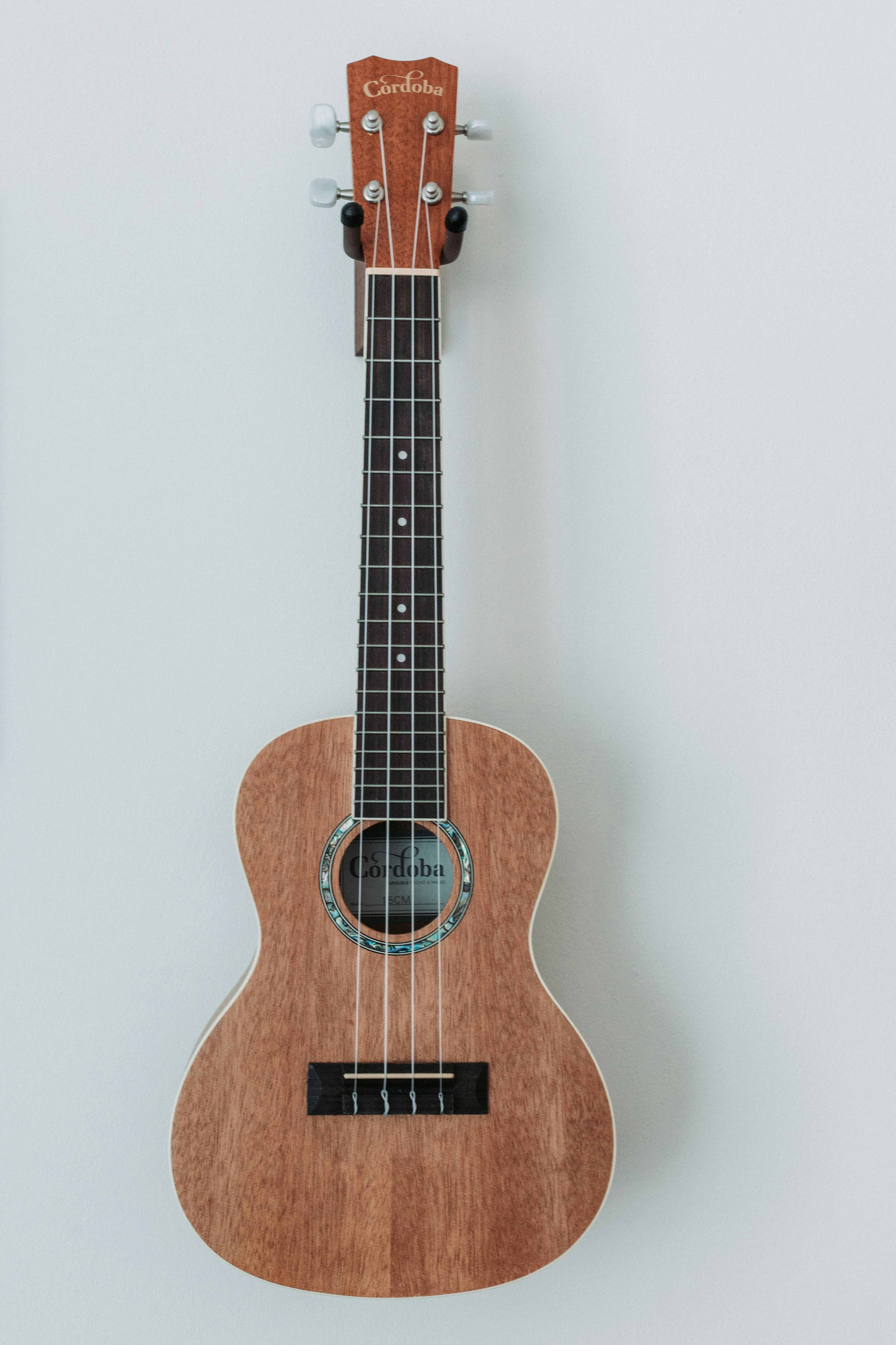 gitarre